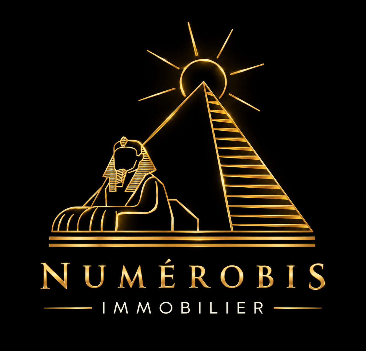Numérobis Immobilier — votre agence à Richelieu